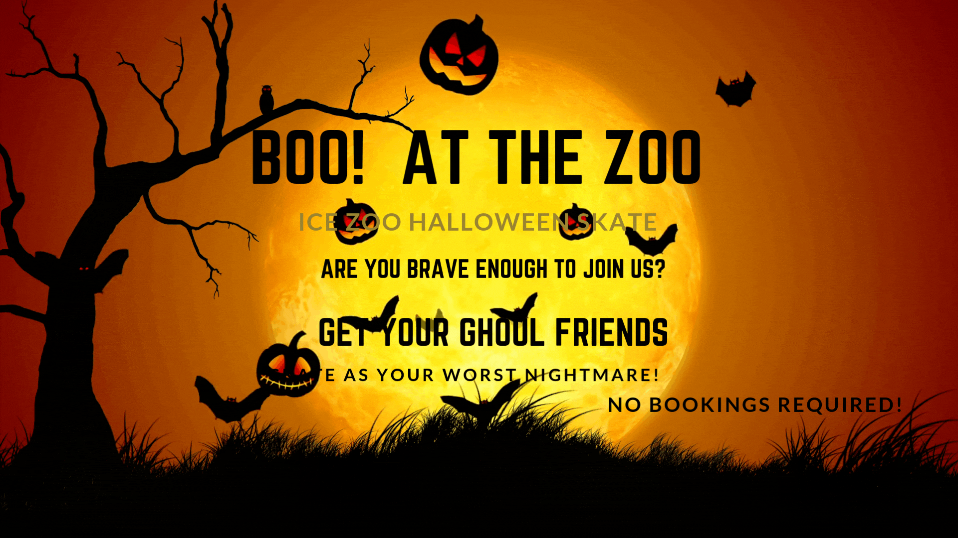 Events Boo @ Ice Zoo