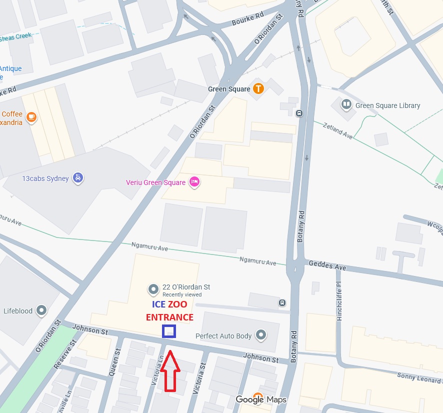 Ice Zoo location