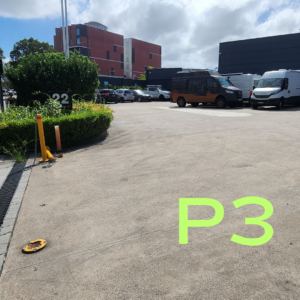 P2 (1080 x 1080 px)(1)